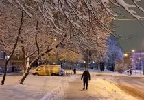 В выходные в Москве синоптики прогнозируют снег, переходящий в дождь