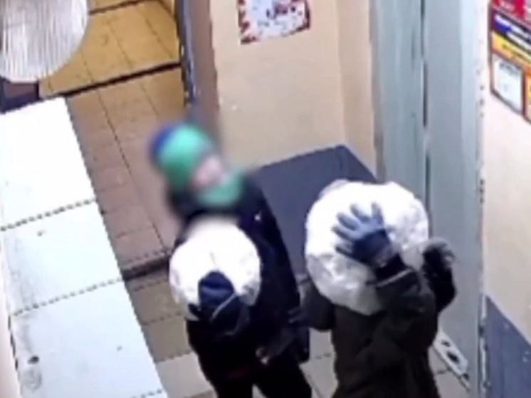 В Новосибирске школьники едва не убили прохожих снежными шарами