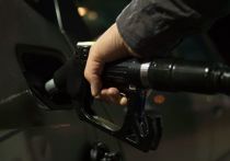 Некоторые российские АЗС держат цены на топливо выше средних по стране, сообщил вице-премьер Александр Новак