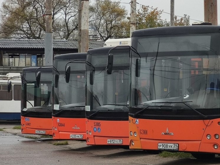 В Калининграде планируют увеличить количество автобусов без кондукторов