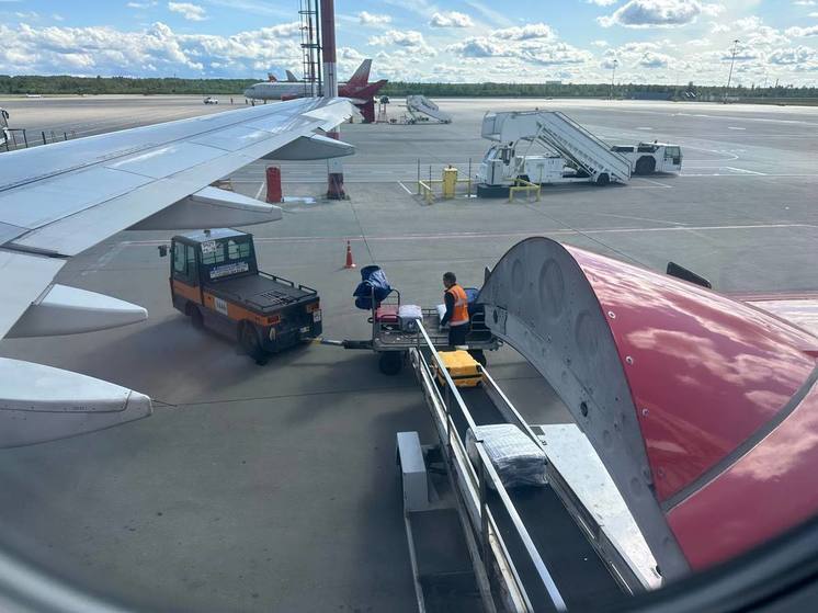 Петербуржцы снова могут улететь в Египет на самолетах Air Cairo