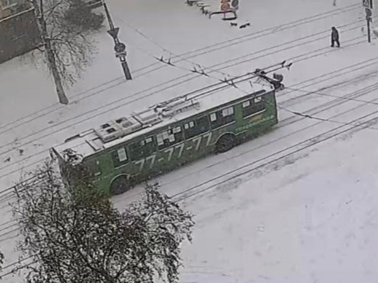 Троллейбусы в Петрозаводске разворачиваются из-за непогоды