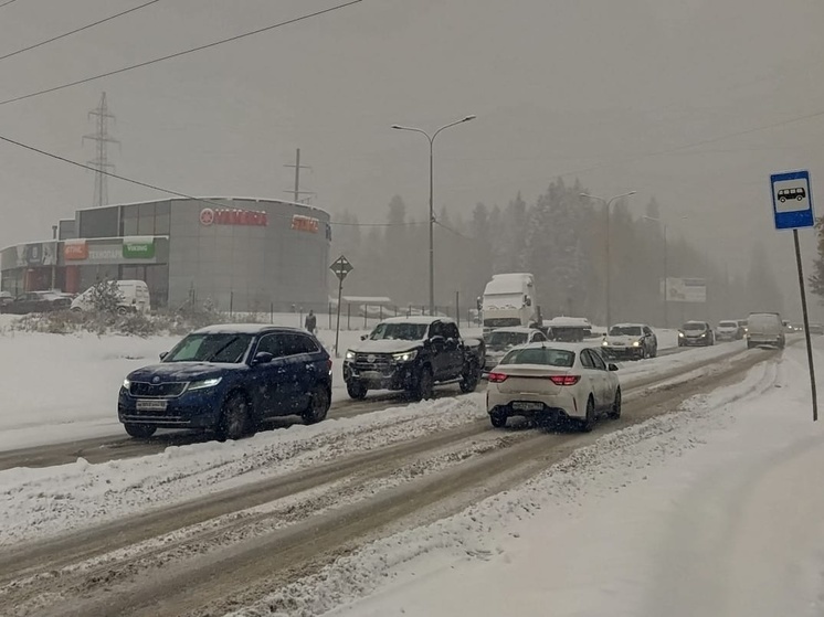 ГИБДД Петрозаводска попросила водителей не выезжать на дороги в непогоду