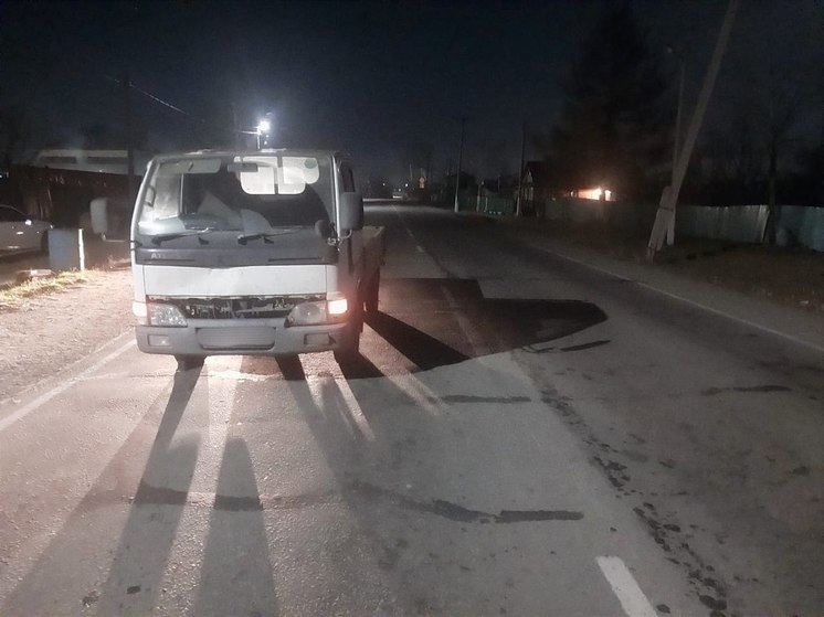 В Хабаровском крае водитель грузовичка наехал на пятилетнего ребенка