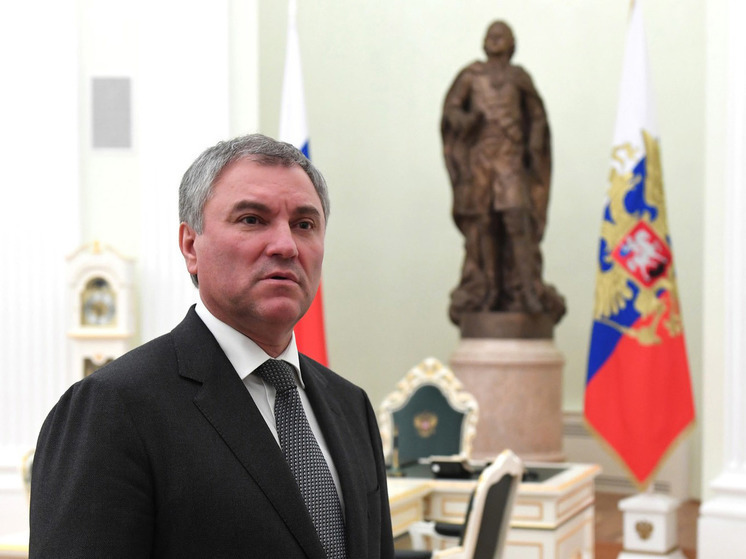 Володин пообещал жесткий ответ на "воровство замороженных активов" России