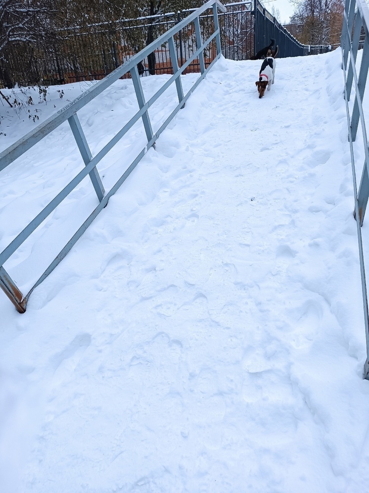 Лестница-горка стала символом работы коммунальщиков в Петрозаводске в снегопад