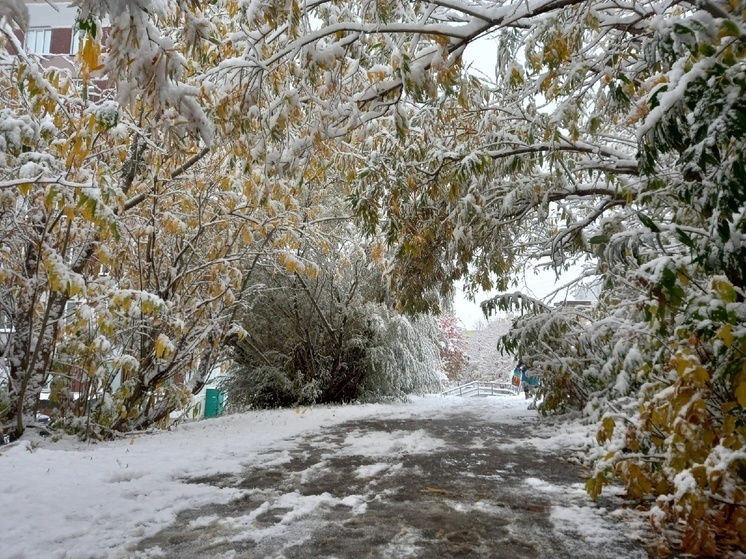 Похолодание до - 4 градусов ожидается в Томске 30 октября