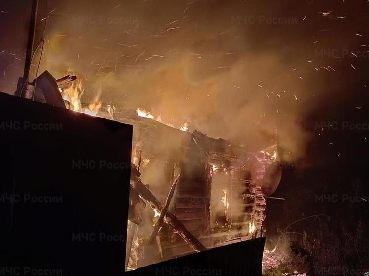 Два человека пострадали на пожарах в брянских Новозыбкове и Васьковичах