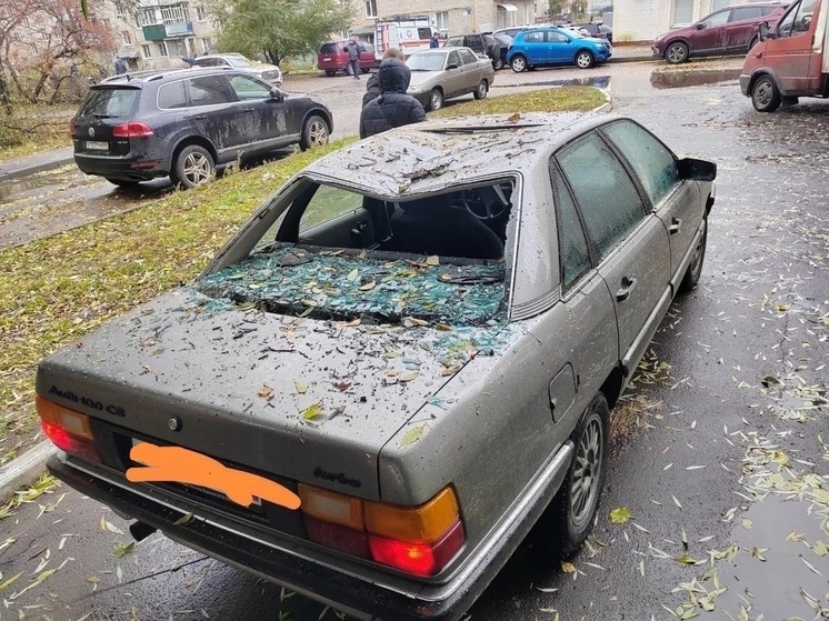 В Тамбове упавшее дерево повредило сразу три автомобиля
