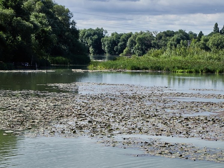 Жители Пензы обнаружили в Суре отработанное моторное масло