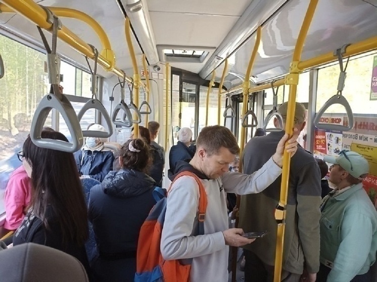 В Новосибирске в автобусе №96 контролёры проверяют билеты раз в 2 дня