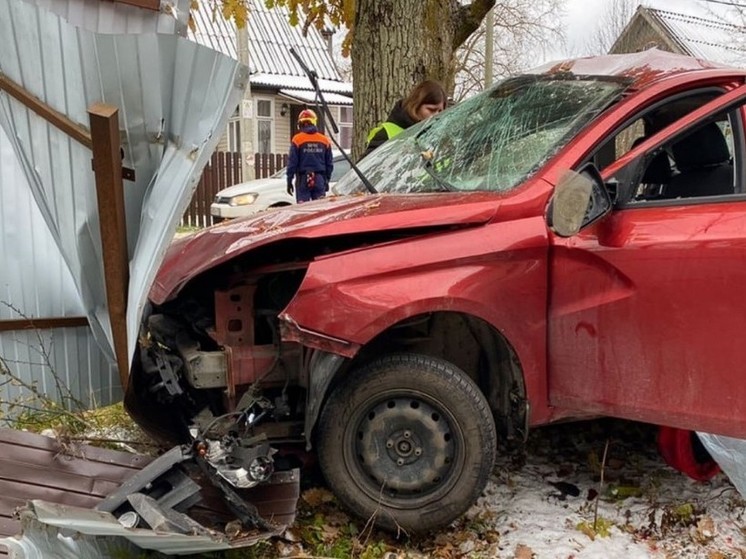 В деревне Лангерево под Петербургом авария унесла жизни двух человек