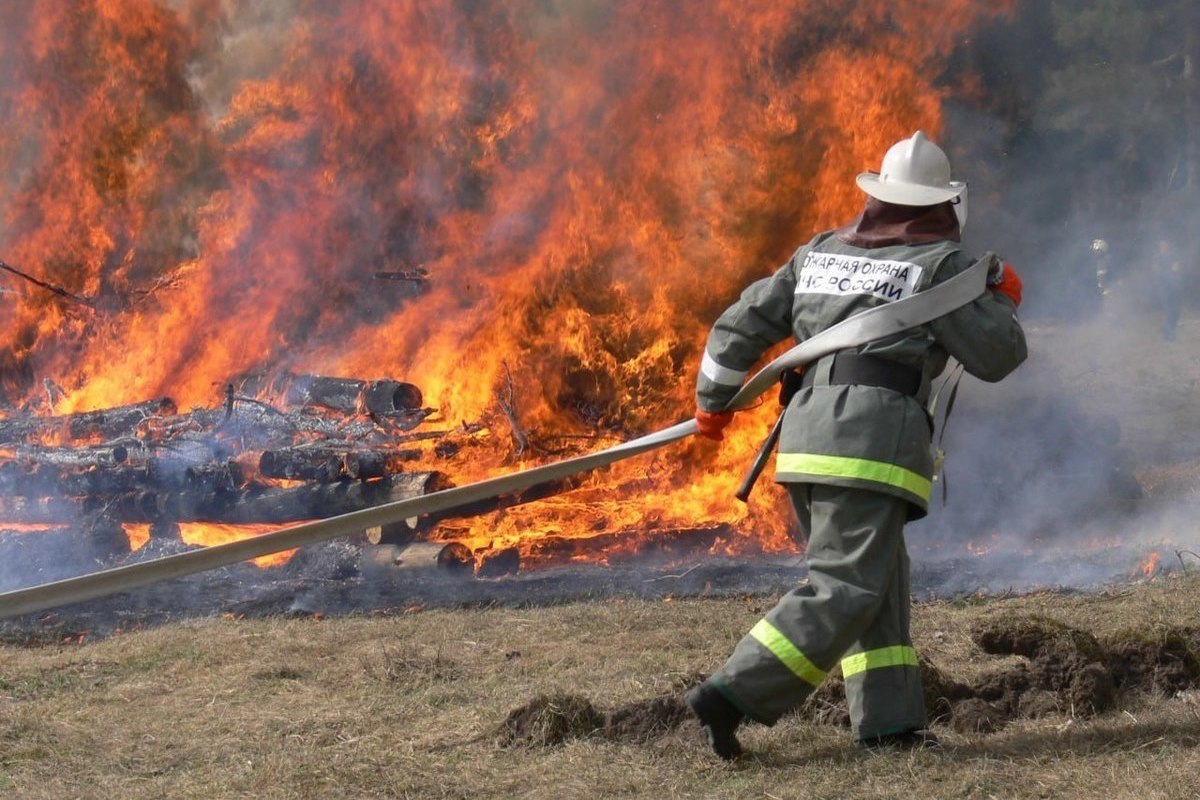 В Пушкинском районе Петербурга 29 октября загорелся бесхозный сарай