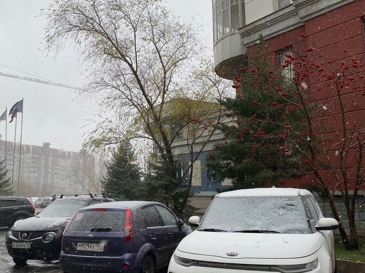 Китайский погодный сервис предсказал Новосибирску похолодание до -73 градусов