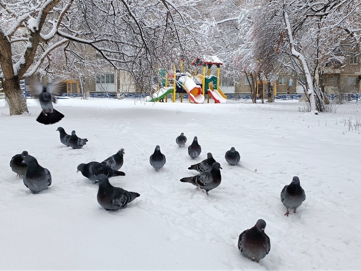 Свердловский снегопад в понедельник ослабеет, но не прекратится