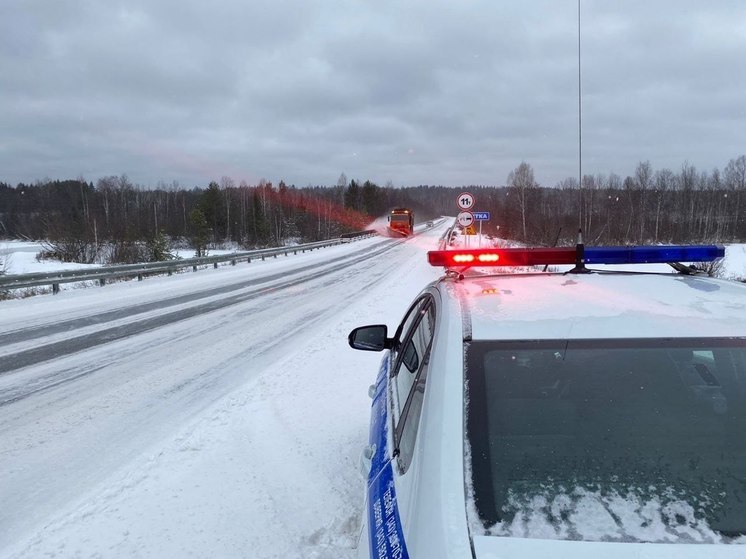 Более 200 экипажей ДПС обеспечивают безопасность на свердловских дорогах