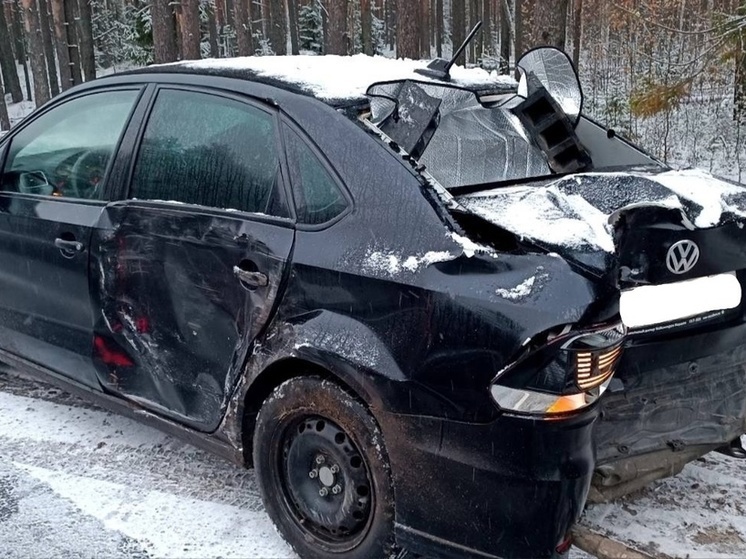 Автоледи пострадала в аварии, вылетев в кювет с заснеженной трассы в Карелии