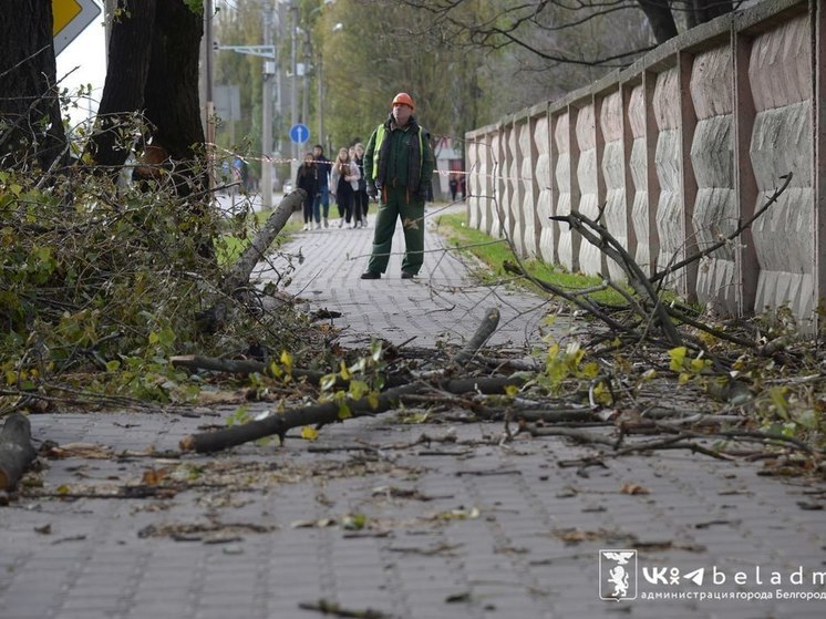 Последствия непогоды в Белгороде устранили на 70%
