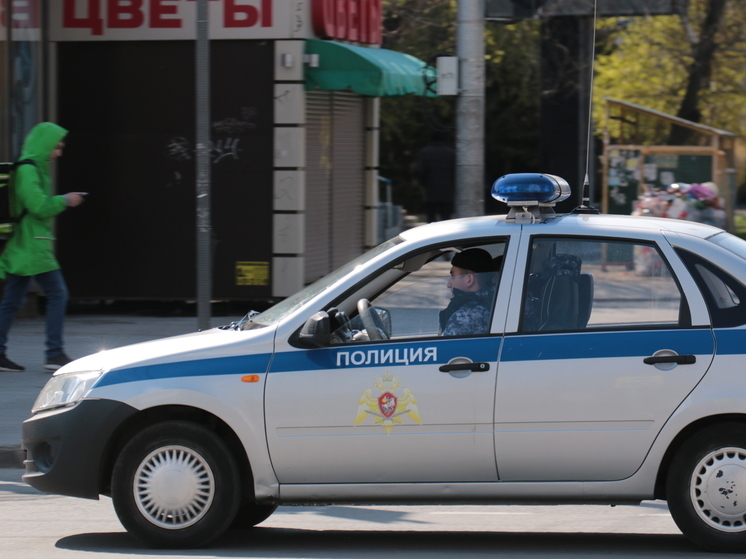 В Ростовской области 72-летнего дедушку задержали за кражу на улице
