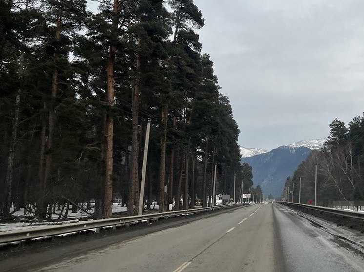 Более 500 грузовиков ожидают проезда на границе в Северной Осетии