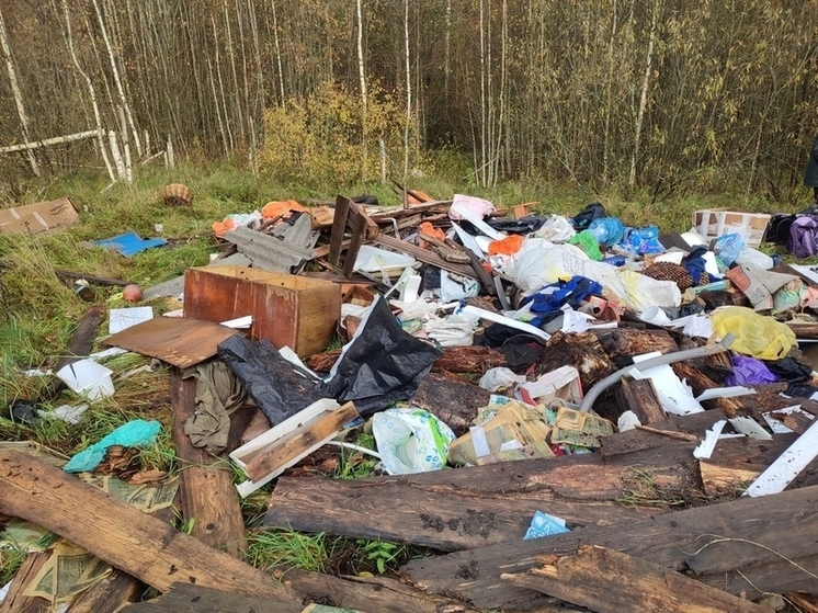 В Маловишерском районе обнаружили свалку площадью 1000 «квадратов»