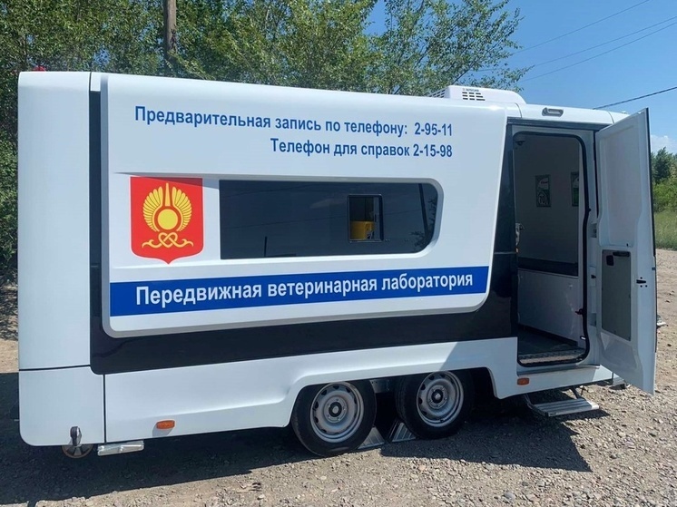 Ветмобиль начнет работу на Вавилинском затоне города Кызыла