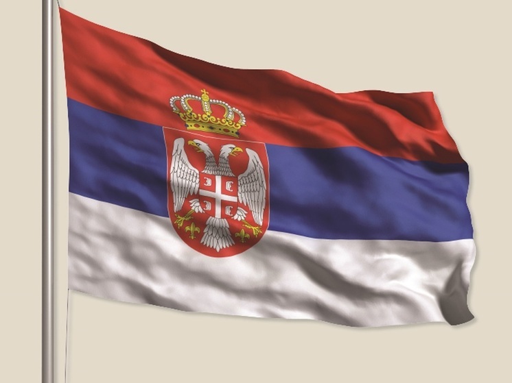 Правительство Сербии посоветовало провести досрочные парламентские выборы