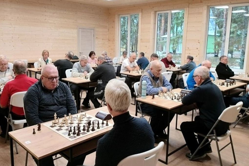 Тульский ветеранский турнир по шахматам выиграли москвичи