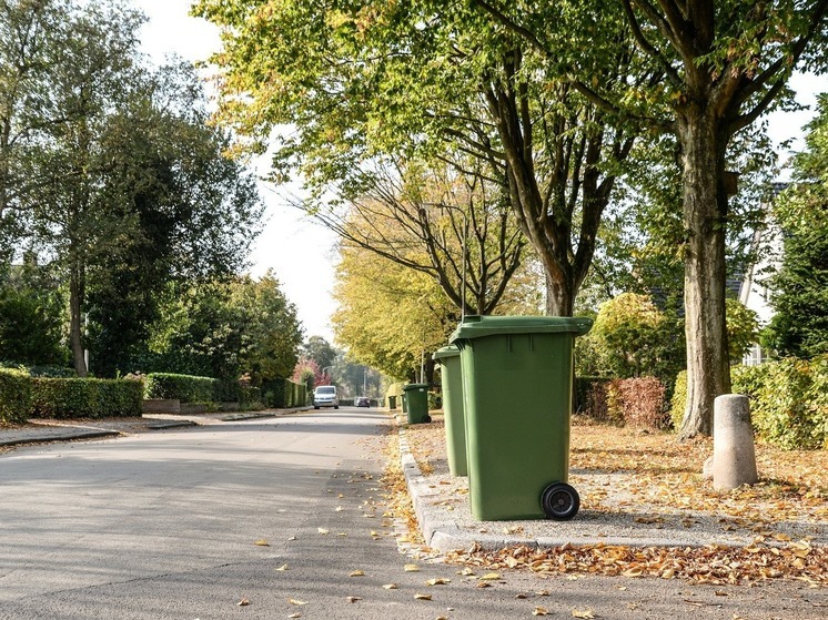 Германия: Германия — Штраф до 5000 евро за ранний вывоз мусорного бака на улицу