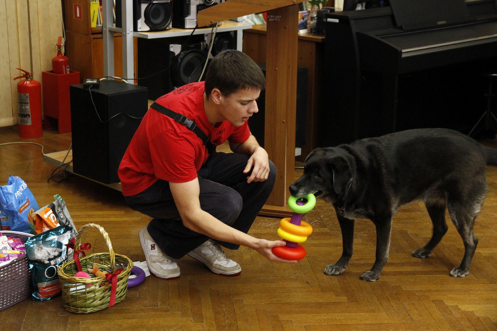 В Смоленске более 10 приютов для животных получили помощь в рамках акции «Лучший друг»