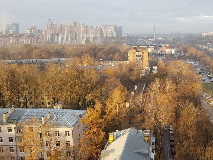 Температура в Подмосковье сегодня может подняться до +10 градусов - МК Московская область