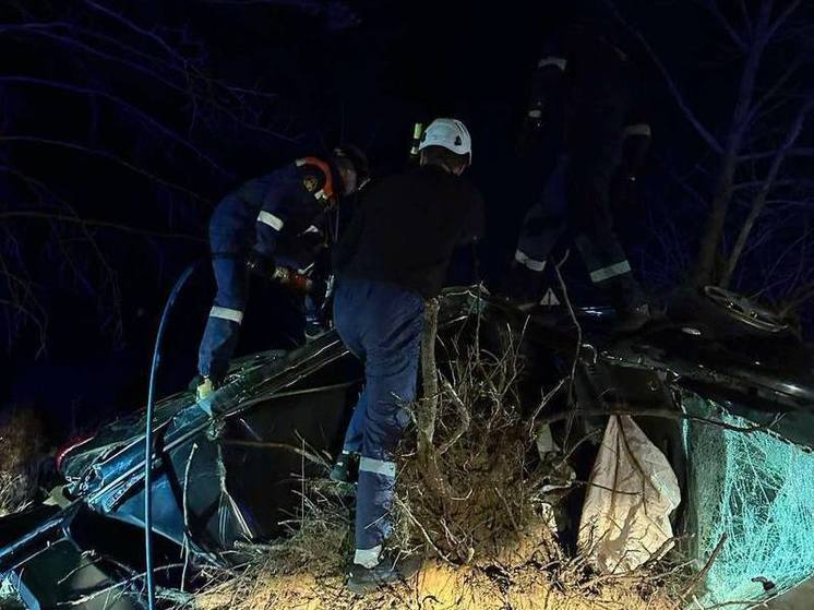 Спасатели достали мужчину из помятого в ДТП с деревом автомобиля под Читой