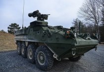 Все четыре полученных американских БТР «Страйкер» (Stryker), полученных одним из подразделений украинской армии, сломались или были уничтожены еще до вступления в бой