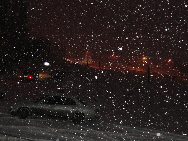 Снег в Хабаровске в 2023 году может выпасть уже сегодняшней ночью, а также продолжиться на выходных