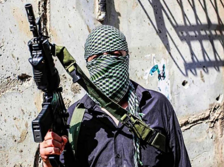Армия Израиля заявила об увеличении числа заложников ХАМАС до 240 человек