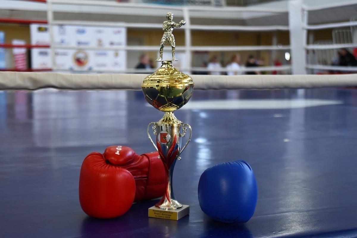 Костромские боксеры привезли 4 золотых медали с турнира по боксу среди юниоров