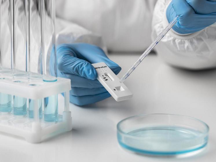 В Архангельской области растет число заболевших COVID-19