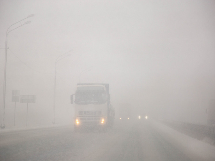 МЧС предупредило о тумане в Тверской области с видимостью до 800 метров