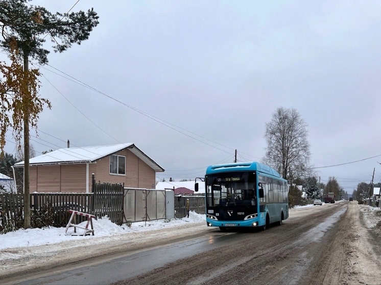 Врио мэра Петрозаводска попросила горожан помочь убрать ржавые автобусы с маршрутов