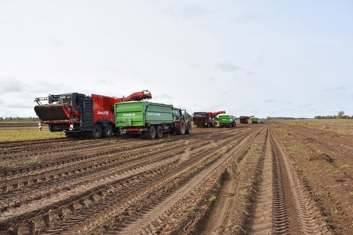 Спрос на сельхозрабочих в Калининградской области вырос почти на 72%