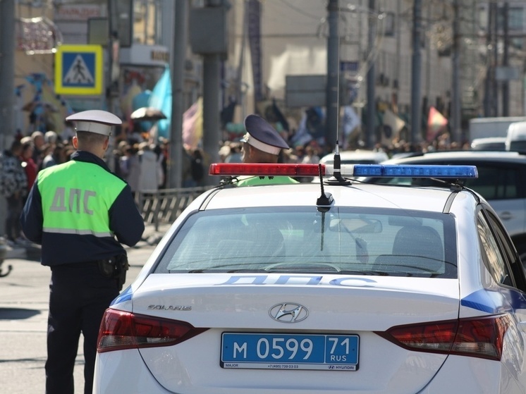 В Туле сотрудники ГИБДД рассказали о правилах ПДД будущим мамам
