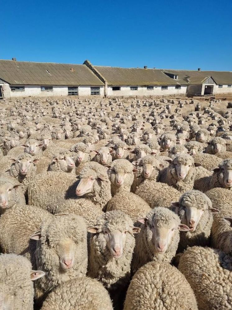 Это вдвое больше, чем в прошлом году