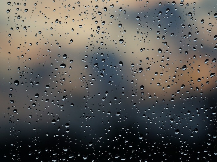 Синоптики 1 ноября предсказывают в Смоленске дождь