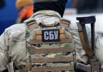 Служба безопасности Украины (СБУ) морально поддерживала координатора покушения на бывшего депутата Рады Олега Царева