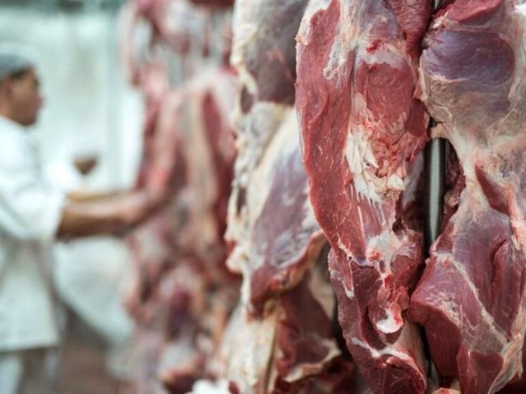 В Тамбовской области изъяли из продажи более 12 тысяч кг мясной продукции