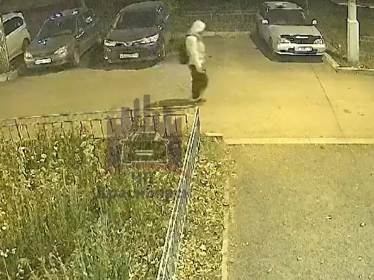 В красноярском Студгородке неизвестный мужчина повредил более 10 автомобилей