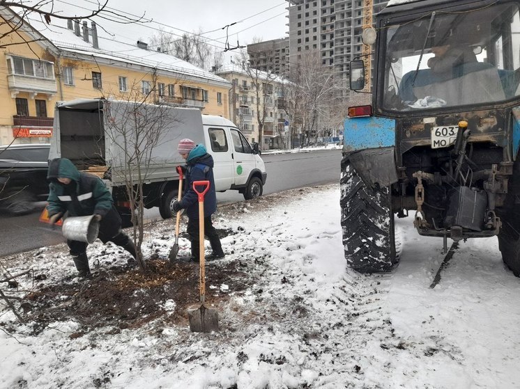 В Кирове заканчивают сезон озеленения города