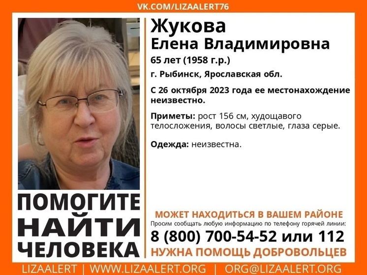 В Ярославской области несколько дней не могут найти светловолосую пенсионерку