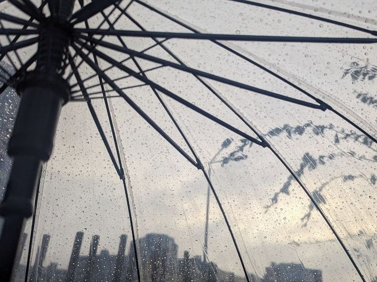 Синоптик Колесов рассказал, как контрастный циклон повлиял на погоду в Петербуре