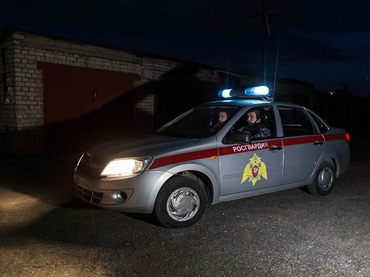 В Новомичуринске Рязанской области задержали пьяную женщину на Hyundai Solaris